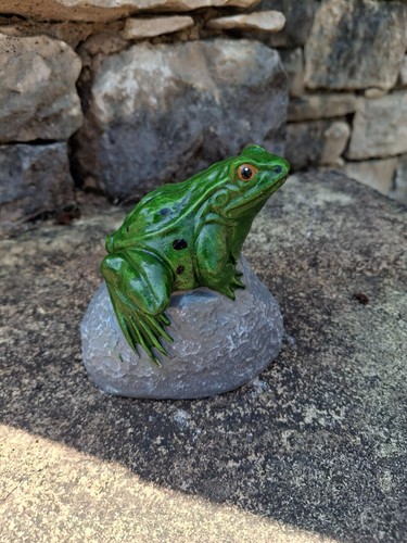Small frog toad - toad, stone