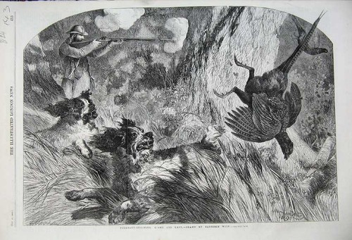 Old antique print - old,