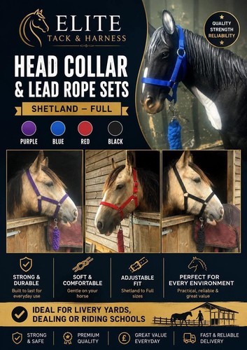 New headcollar and leadrope - in,