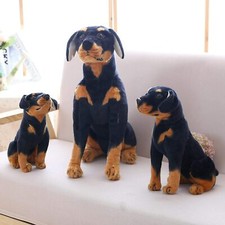 50cm large sitting - large, rottweiler