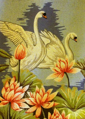 Swans printed canvas for - "swans",