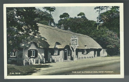 Postcard the cat fiddle - postcard:,