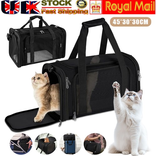 Pet cat carrier - pet, bag