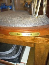 national wild turkey