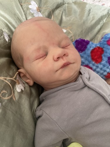Reborn baby doll boy david - doll,