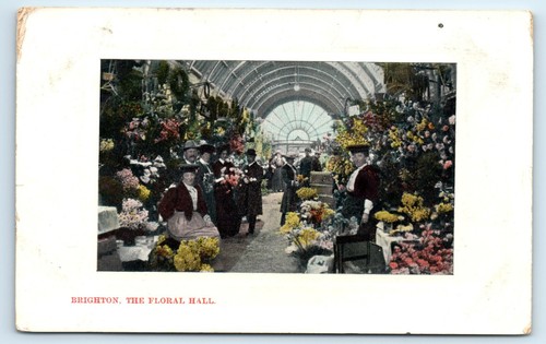 Postcard brighton the - the, floral