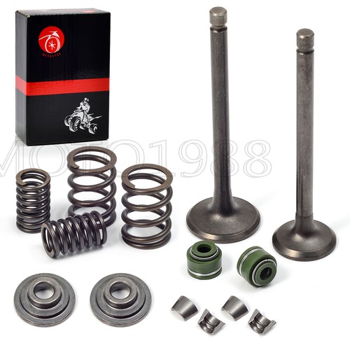 Engine intake exhaust valves - exhaust,