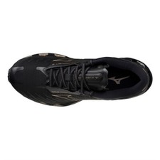 Mizuno wave prophecy - wave, 12