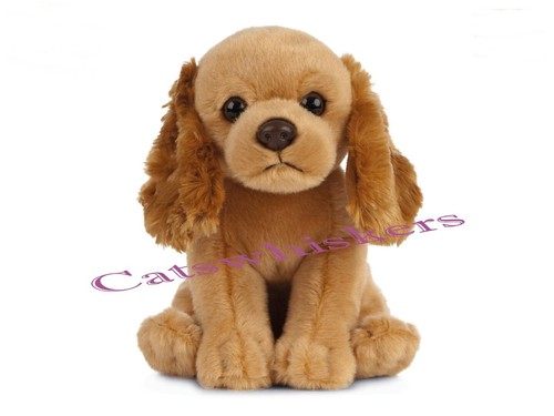 Sitting cocker spaniel - cocker, puppy