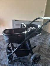 Red Kite Push Me Savanna Zebra