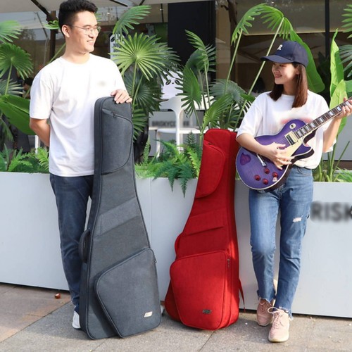 Electric bass guitar gig - bass, bag