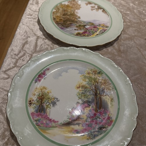 Shelley woodland plates - 2,