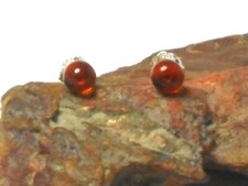 Round  AMBER  Sterling  Silver   925  Stud Earrings  -  5 mm