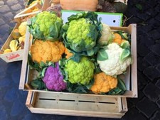 Rainbow Cauliflower 20 Seeds - Tasty and Unusual