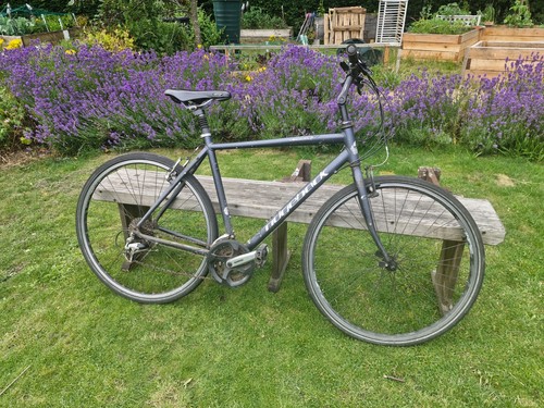 Ridgeback velocity hybrid - velocity, bike