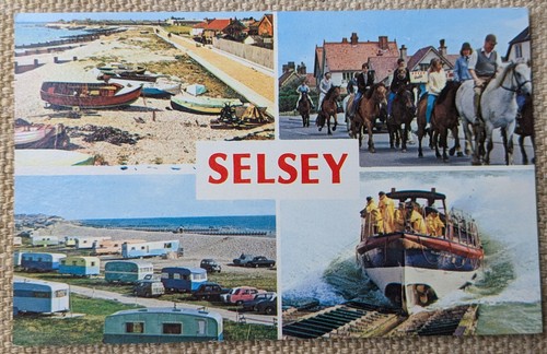 Selsey lifeboat pony - pony, rides