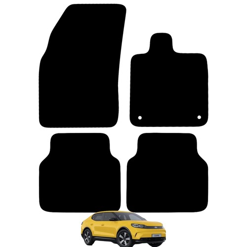 Carsio tailored carpet car - carpet,