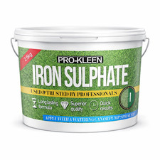 ProKleen Iron Sulphate Damp