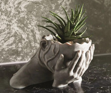 Plant Pot / Vase / Home Decor