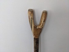 Spelted Beech thumb stick