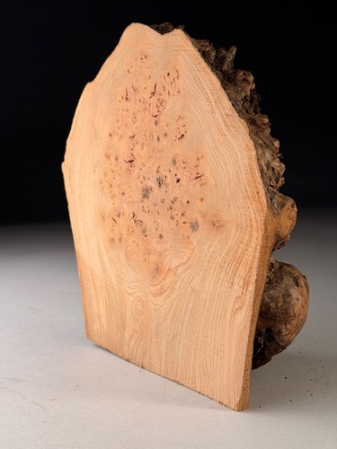 Cap burr elm live edge - cap,