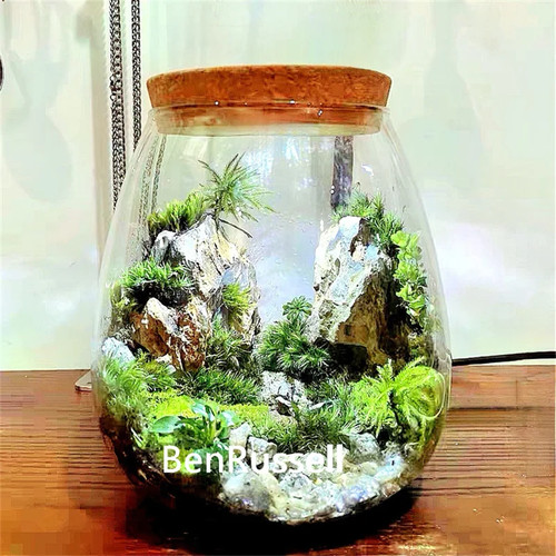 Glass terrarium bottle - glass, with