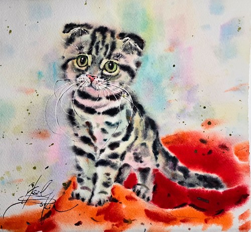 Original cute kitten - original,
