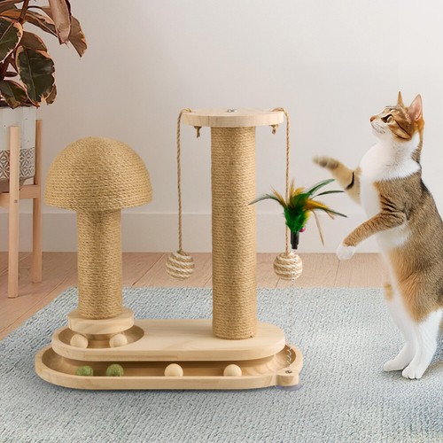 Cat scratch scratching - cat, post