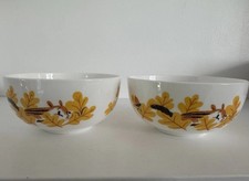 Two Chipmunk Fine Bone China