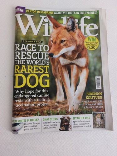 Bbc wildlife magazine - magazine,