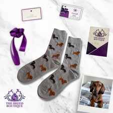 DACHSHUND SOCKS - RED AND