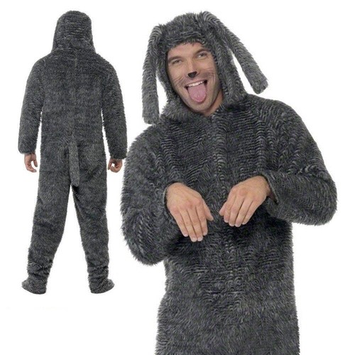 Adult fluffy dog animal - adult,