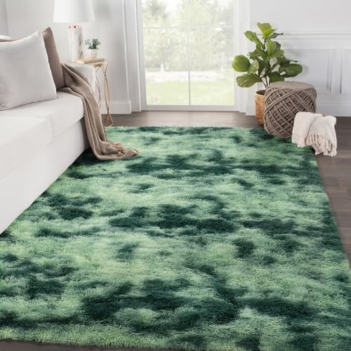 Living room area rug - living, dark