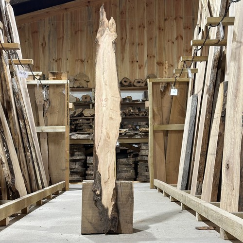 Hornbeam plank board waney - hornbeam,