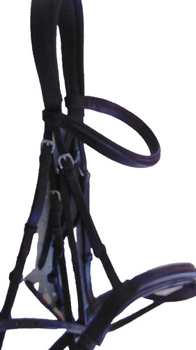 Equipe rolled browband - rolled,