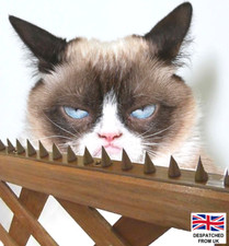 Wall Fence Top Spikes Strip Garden Security Intruder Bird Cat Burglar Anti-Climb