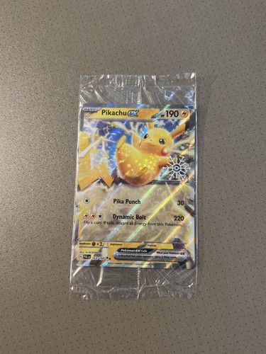 Pokemon holiday advent - holiday,
