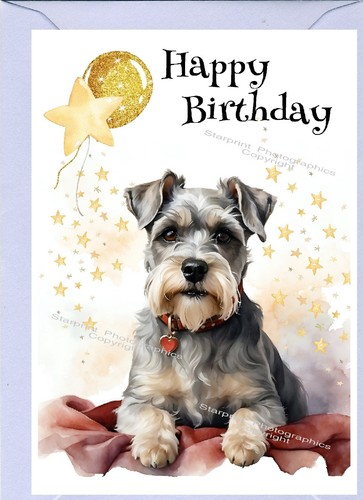 Miniature schnauzer dog - schnauzer,