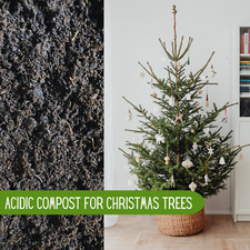 CHRISTMAS TREE COMPOST - Acid