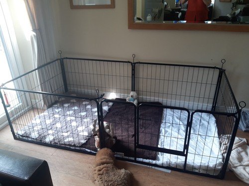 Pawhut large dog whelping - large,