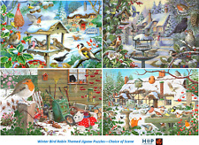 Winter Bird Robin Themed