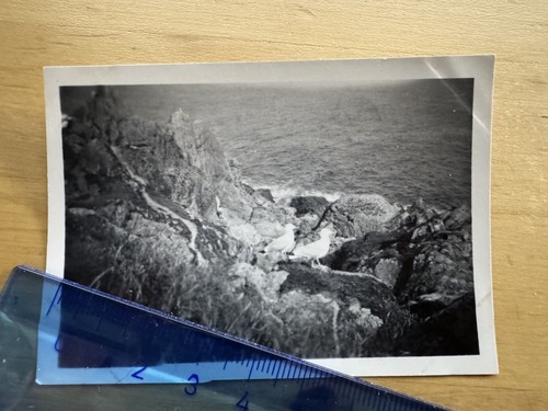 Photo polperro 1953 - -,