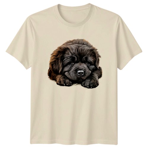 Newfoundland puppy dog animals - puppy,