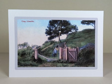 Llandeilo crug vintage view - -,