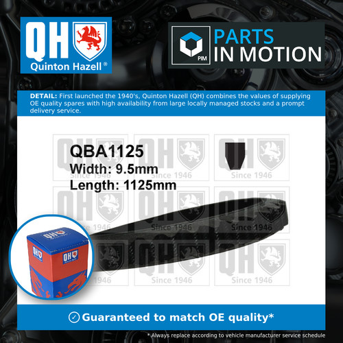 Drive belt fits mgb 3 - belt,