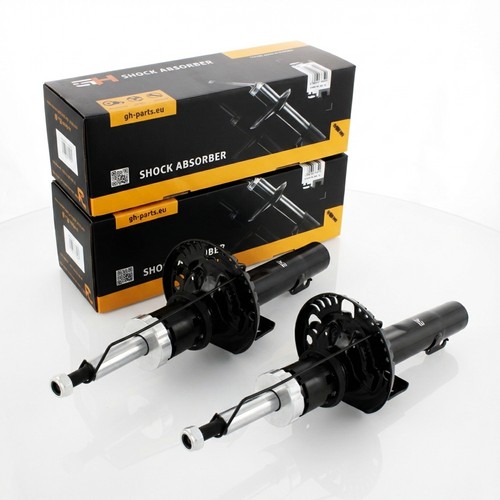 Gas shock absorbers - gas,