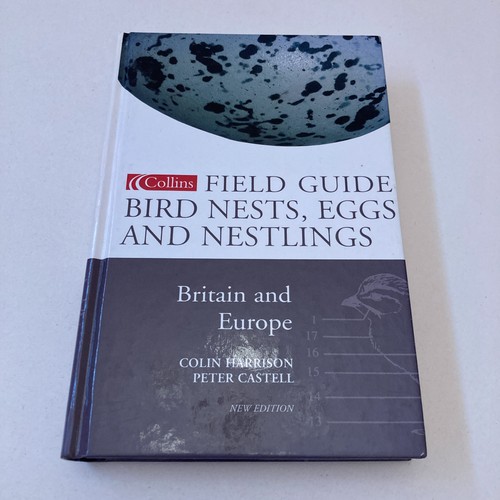 Bird nests eggs - and, nestlings