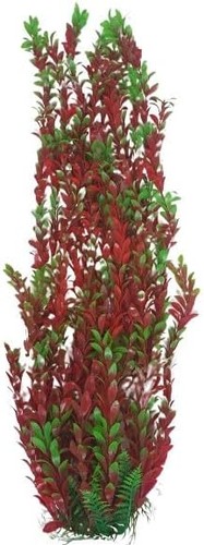 Jumbo bushy aquarium pond - jumbo,