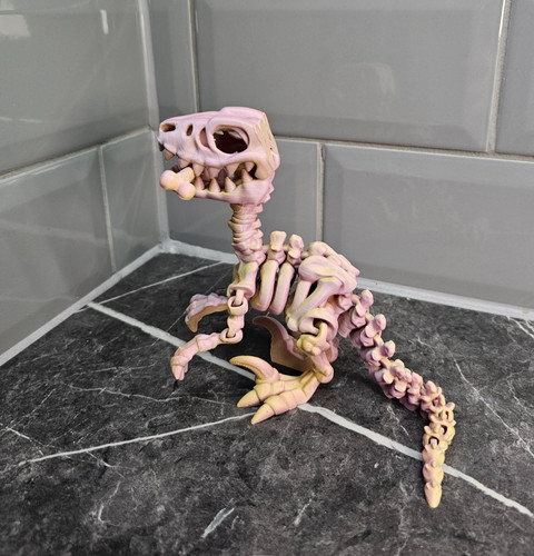 Skeleton raptor dinosaur - skeleton,