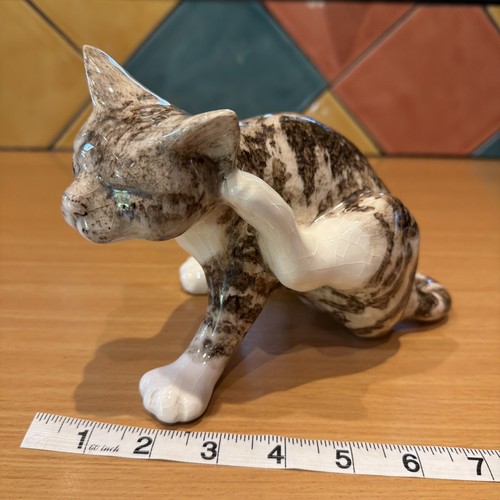 Winstanley size tabby kitten - winstanley,